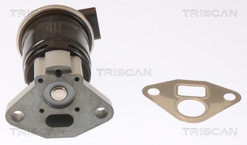 Válvula EGR Triscan A/S ref. 8813 40003