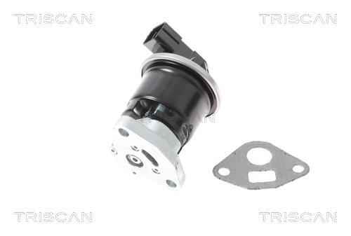 Válvula EGR Triscan A/S ref. 8813 40013