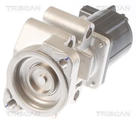 Vanne EGR Triscan A/S 8813 42001