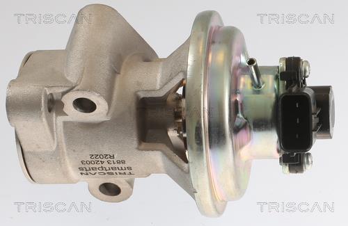 Válvula EGR Triscan A/S ref. 8813 42003