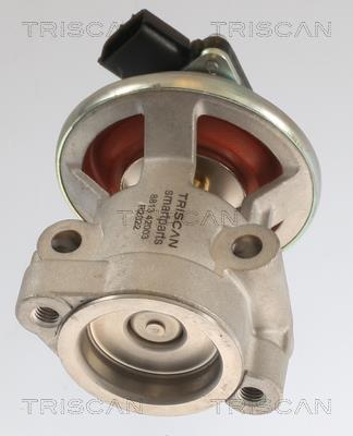 Válvula EGR Triscan A/S ref. 8813 42003