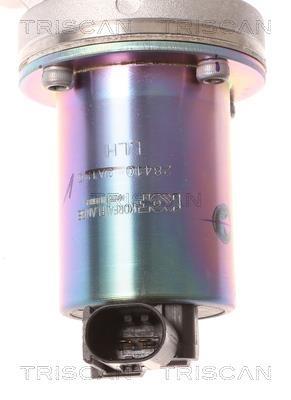 Vanne EGR Triscan A/S 8813 43001
