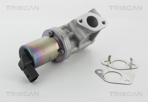 Vanne EGR Triscan A/S 8813 43001