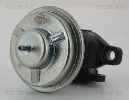 Vanne EGR Triscan A/S ref. 8813 43003