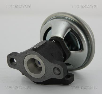 Vanne EGR Triscan A/S ref. 8813 43003