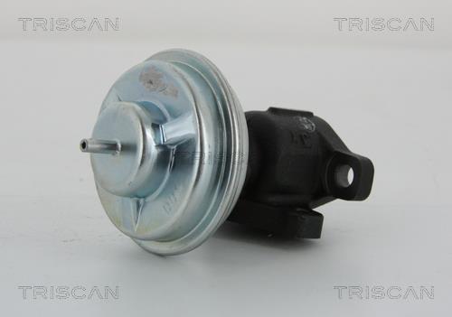 Vanne EGR Triscan A/S ref. 8813 43005