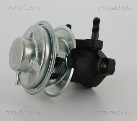Válvula EGR Triscan A/S ref. 8813 43008