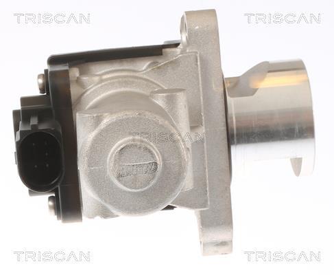 Válvula EGR Triscan A/S ref. 8813 43010