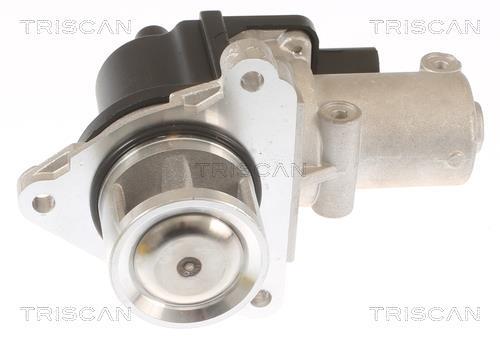 Válvula EGR Triscan A/S ref. 8813 43010