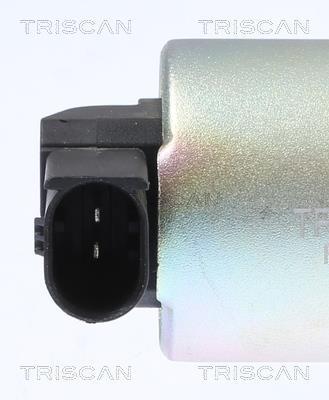 Vanne EGR Triscan A/S 8813 43015