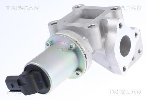 Vanne EGR Triscan A/S 8813 43015