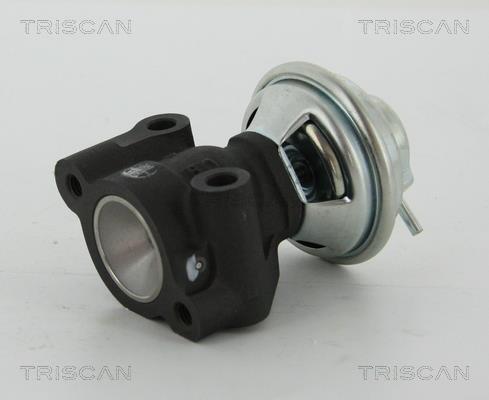 Válvula EGR Triscan A/S ref. 8813 43016
