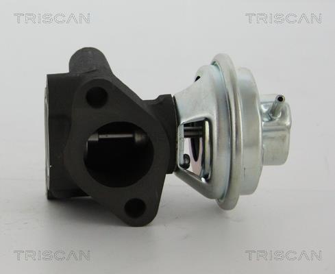 Válvula EGR Triscan A/S ref. 8813 43016