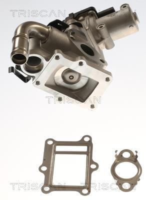 Vanne EGR Triscan A/S ref. 8813 43017