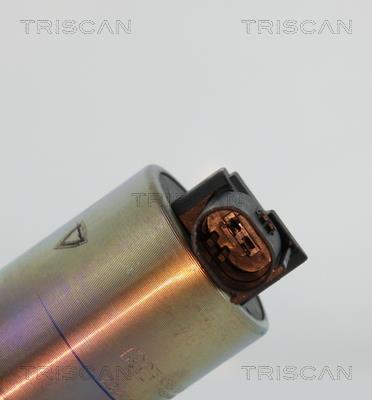 Vanne EGR Triscan A/S 8813 43020
