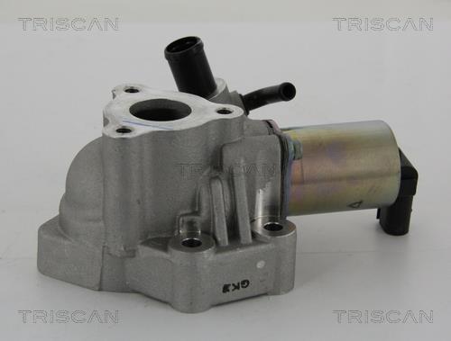 Vanne EGR Triscan A/S 8813 43020