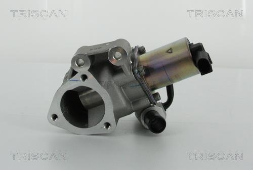 Vanne EGR Triscan A/S 8813 43020