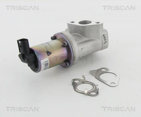 Vanne EGR Triscan A/S ref. 8813 43021