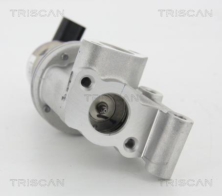 Vanne EGR Triscan A/S ref. 8813 43021