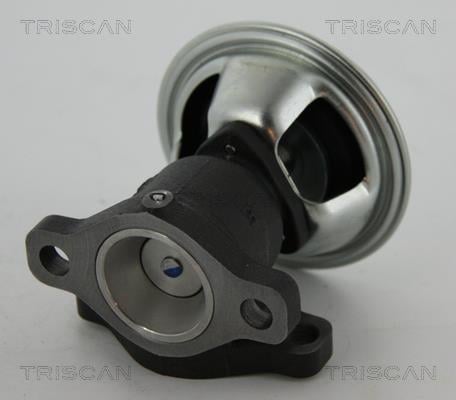 Válvula EGR Triscan A/S ref. 8813 43022