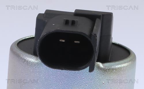 Vanne EGR Triscan A/S 8813 43024