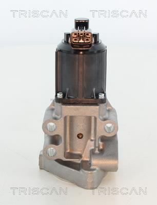 Vanne EGR Triscan A/S 8813 43025