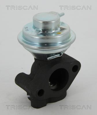 Válvula EGR Triscan A/S ref. 8813 43040