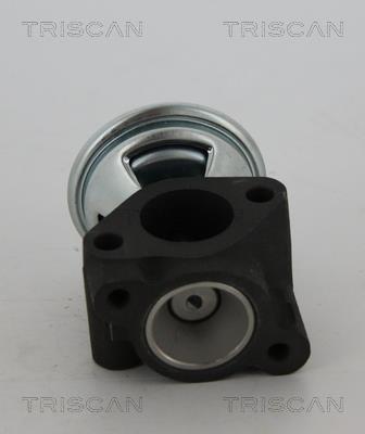 Válvula EGR Triscan A/S ref. 8813 43040