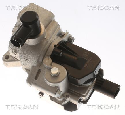 Vanne EGR Triscan A/S 8813 43054