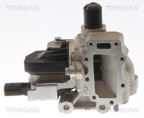 Vanne EGR Triscan A/S 8813 43054