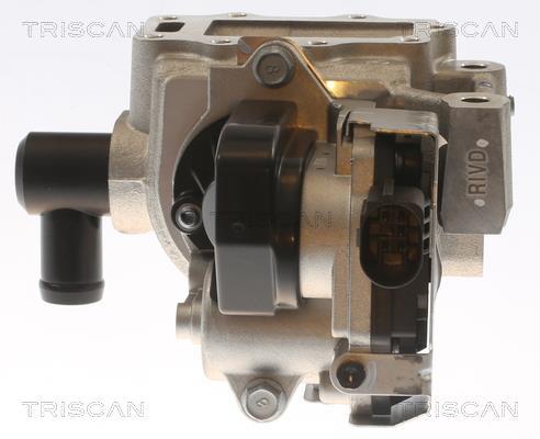 Vanne EGR Triscan A/S 8813 43054