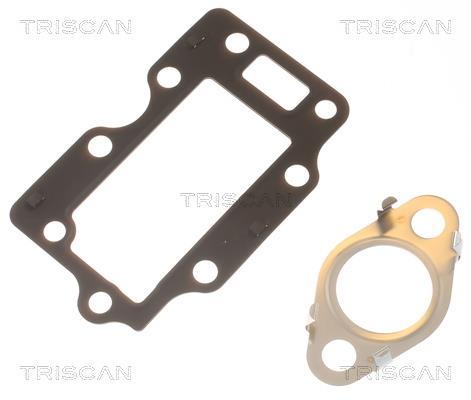 Vanne EGR Triscan A/S 8813 43054