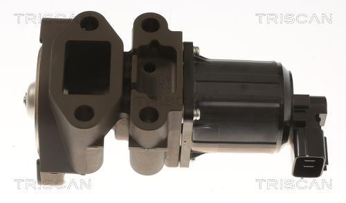 Vanne EGR Triscan A/S 8813 43055