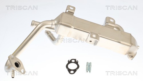 Radiador válvula egr Triscan A/S 8813 43056