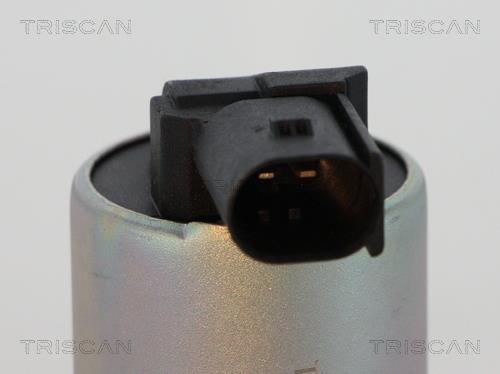 Válvula EGR Triscan A/S ref. 8813 43100