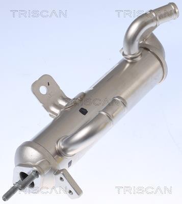 Radiateur, réaspiration des gaz d'échappement Triscan A/S 8813 43102