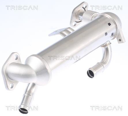 Radiador válvula egr Triscan A/S ref. 8813 43103