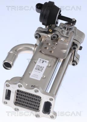 Radiador válvula egr Triscan A/S ref. 8813 43104