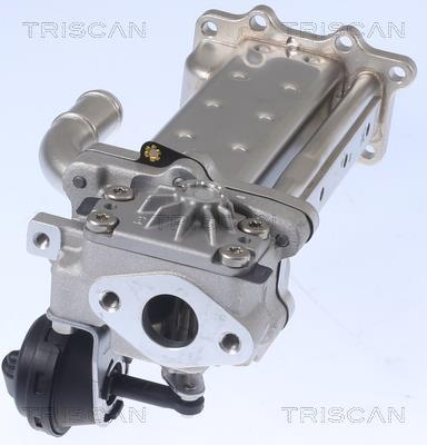 Radiador válvula egr Triscan A/S ref. 8813 43104