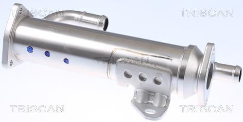Radiador válvula egr Triscan A/S ref. 8813 43105