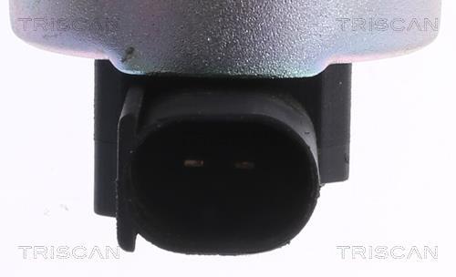 Vanne EGR Triscan A/S 8813 43200