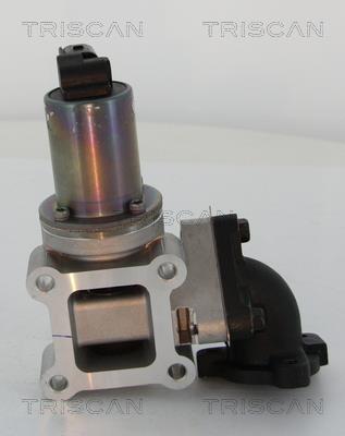 Vanne EGR Triscan A/S 8813 43200
