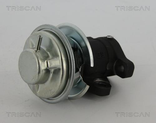 Vanne EGR Triscan A/S 8813 43201