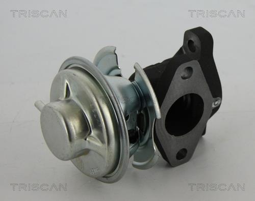 Vanne EGR Triscan A/S 8813 43201