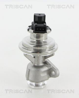 Vanne EGR Triscan A/S 8813 44010