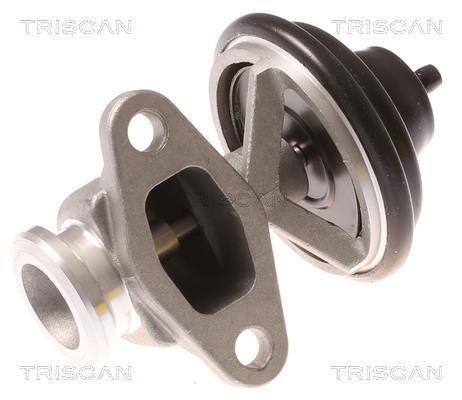 Vanne EGR Triscan A/S 8813 44015