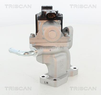 Vanne EGR Triscan A/S 8813 44031