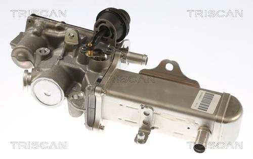 Vanne EGR Triscan A/S 8813 69102
