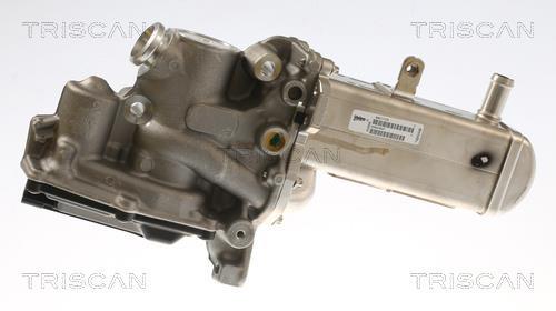 Vanne EGR Triscan A/S 8813 69102