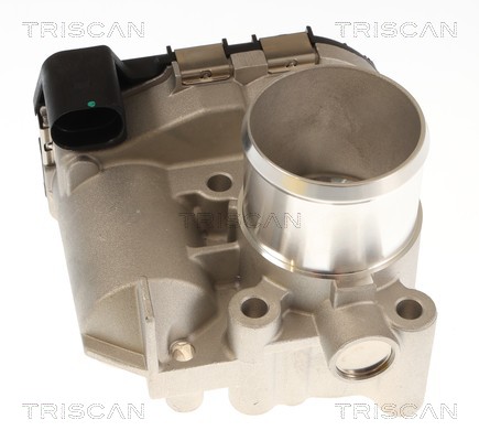 Corps papillon (Corps papillon) Triscan A/S ref. 8820 10006